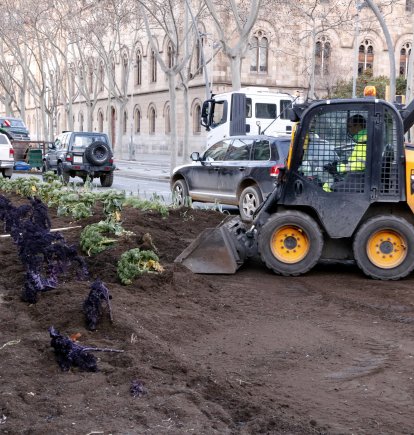 Els serveis municipals han retirat l'hort urbà de Revolta Pagesa al mig de la Gran Via de Barcelona