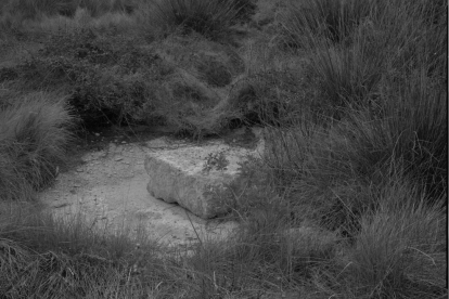 Una de las fotografías de la exposición.