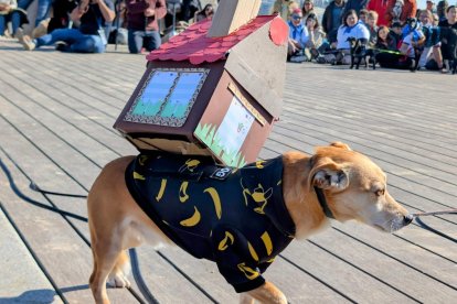 Uno de los perros participantes en el desfile de disfraces