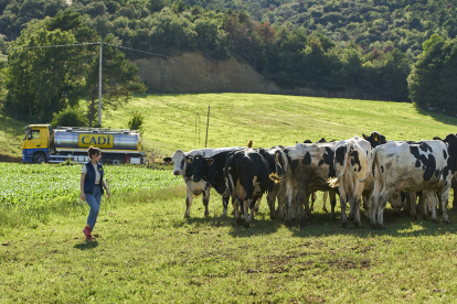 Actualment la Cooperativa està formada per 63 famílies ramaderes de l’Alt Urgell i la Cerdanya