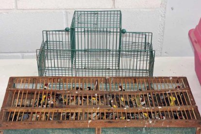 Cedides Agents Rurals