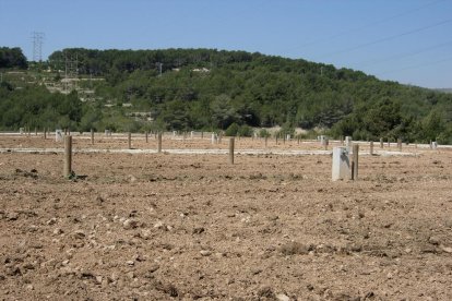 Cada vegada és més habitual que les poblacions comptin amb horts urbans municipals. Però moltes iniciatives privades també volen sumar-se a aquest tipus de projectes.