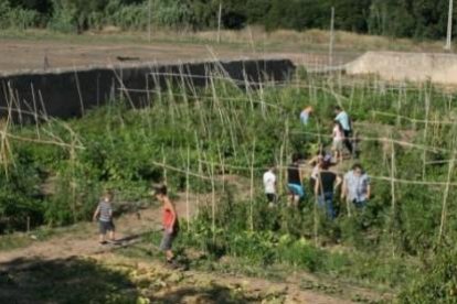Cada vegada és més habitual que les poblacions comptin amb horts urbans municipals. Però moltes iniciatives privades també volen sumar-se a aquest tipus de projectes.