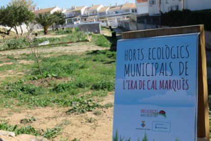 Cada vegada és més habitual que les poblacions comptin amb horts urbans municipals. Però moltes iniciatives privades també volen sumar-se a aquest tipus de projectes.