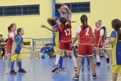 Bàsquet Ploms-La Salle