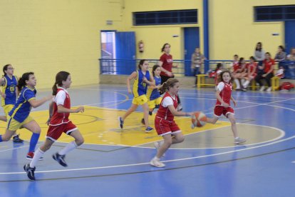 Bàsquet Ploms-La Salle