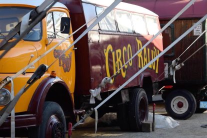 El Circ Raluy va fer parada a Reus, i el Diari Més ens hi vam endinsar per descobrir com són les seves entranyes. Entra amb nosaltres al seu interior!