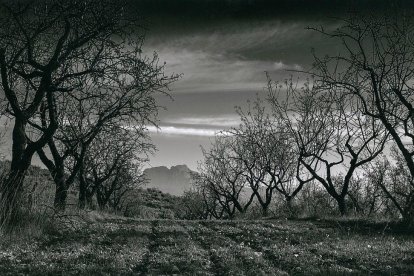 Josep Curto de la Vega