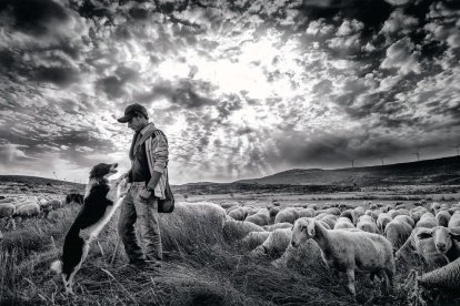 Rafael Galve Peguero