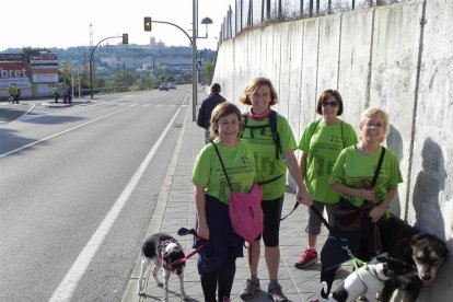 Associació Provincial de Paràlisi Cerebral de Tarragona