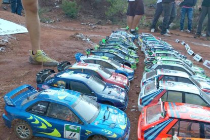 Coincidint amb la disputa del Ral·liRACC Catalunya Costa Daurada a Alcover es va disputar una competició de ràdio control amb vehicles a escala 1/10