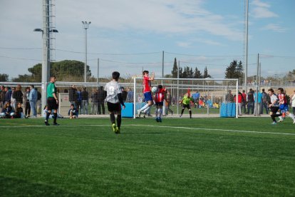 Cedida