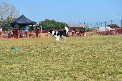 Joan Antoni Torreblanca