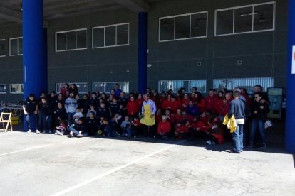 Cedides