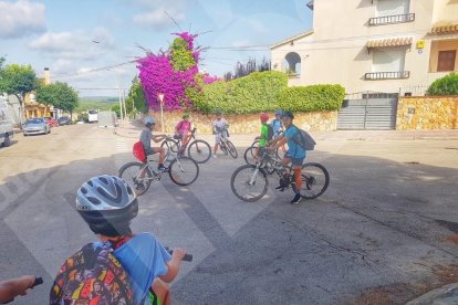 Consell Esportiu del Tarragonès