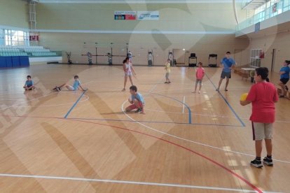 Consell Esportiu del Tarragonès