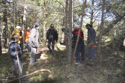 Celebració a la Febró de la tradicional festa de la plantada del pi, que se celebra cada Primer de Maig. Enguany la celebració ha comptat amb la presènia de l'Arquebisbe de Tarragona, Jaume Pujol.