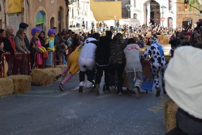 Imatges d'alguns dels participants de la Baixada
