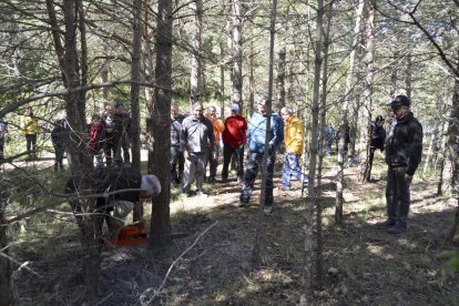 Celebració a la Febró de la tradicional festa de la plantada del pi, que se celebra cada Primer de Maig. Enguany la celebració ha comptat amb la presènia de l'Arquebisbe de Tarragona, Jaume Pujol.