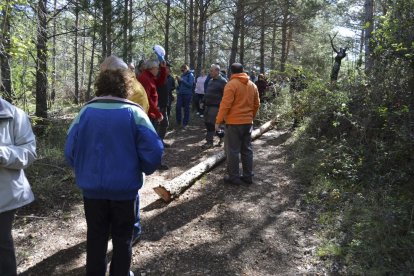 Celebració a la Febró de la tradicional festa de la plantada del pi, que se celebra cada Primer de Maig. Enguany la celebració ha comptat amb la presènia de l'Arquebisbe de Tarragona, Jaume Pujol.