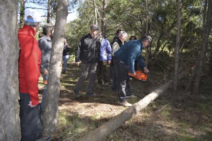 Celebració a la Febró de la tradicional festa de la plantada del pi, que se celebra cada Primer de Maig. Enguany la celebració ha comptat amb la presènia de l'Arquebisbe de Tarragona, Jaume Pujol.