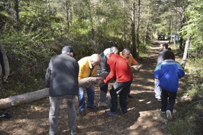 Celebració a la Febró de la tradicional festa de la plantada del pi, que se celebra cada Primer de Maig. Enguany la celebració ha comptat amb la presènia de l'Arquebisbe de Tarragona, Jaume Pujol.