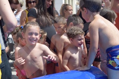 Mireia Pallejà