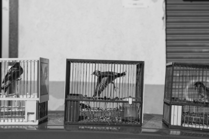 Es tracta d'un projecte fotogràfic que pretén ser un reflex de la vida social dels barris, dels costums i de la seva gent