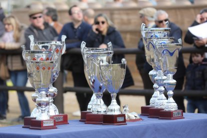 El Parc de la Torre d'en Dolça de Vila-seca va acollir la tradicional competició de cavalls pura sang anglesos, que se celebra cada any per la Festa Major