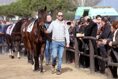 El Parc de la Torre d'en Dolça de Vila-seca va acollir la tradicional competició de cavalls pura sang anglesos, que se celebra cada any per la Festa Major