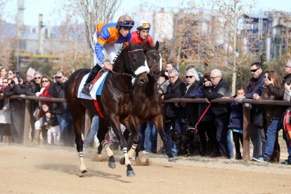 El Parc de la Torre d'en Dolça de Vila-seca va acollir la tradicional competició de cavalls pura sang anglesos, que se celebra cada any per la Festa Major