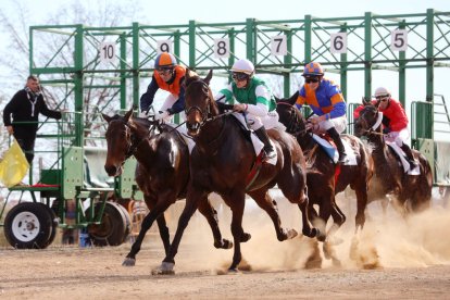 El Parc de la Torre d'en Dolça de Vila-seca va acollir la tradicional competició de cavalls pura sang anglesos, que se celebra cada any per la Festa Major
