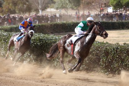 El Parc de la Torre d'en Dolça de Vila-seca va acollir la tradicional competició de cavalls pura sang anglesos, que se celebra cada any per la Festa Major