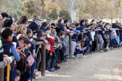 El Parc de la Torre d'en Dolça de Vila-seca va acollir la tradicional competició de cavalls pura sang anglesos, que se celebra cada any per la Festa Major