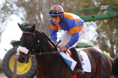 El Parc de la Torre d'en Dolça de Vila-seca va acollir la tradicional competició de cavalls pura sang anglesos, que se celebra cada any per la Festa Major
