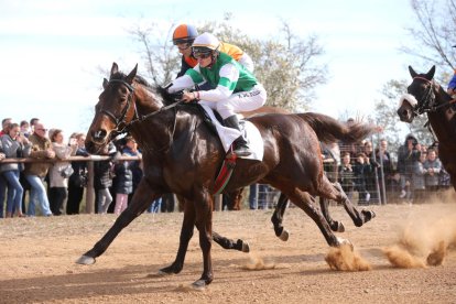El Parc de la Torre d'en Dolça de Vila-seca va acollir la tradicional competició de cavalls pura sang anglesos, que se celebra cada any per la Festa Major