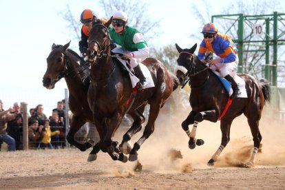 El Parc de la Torre d'en Dolça de Vila-seca va acollir la tradicional competició de cavalls pura sang anglesos, que se celebra cada any per la Festa Major