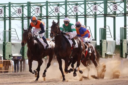 El Parc de la Torre d'en Dolça de Vila-seca va acollir la tradicional competició de cavalls pura sang anglesos, que se celebra cada any per la Festa Major
