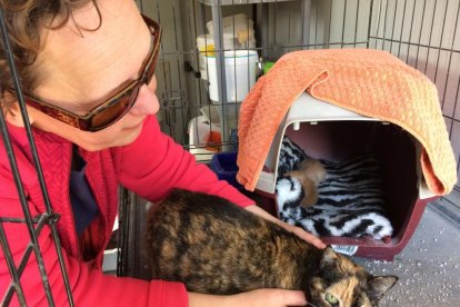 Joan Antoni Torreblanca