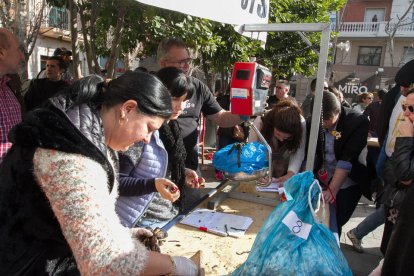 Imatges de la festa celebrada aquest diumenge
