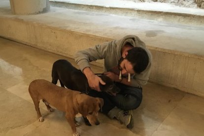 L'actor va aprofitar la seva visita a la ciutat amb el seu espectacle 'Odio' per promocionar l'adopció d'animals durant una trobada amb dues voluntàries i dos gossos de la Protectora d'Animals de Tarragona