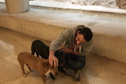 L'actor va aprofitar la seva visita a la ciutat amb el seu espectacle 'Odio' per promocionar l'adopció d'animals durant una trobada amb dues voluntàries i dos gossos de la Protectora d'Animals de Tarragona