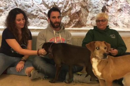 L'actor va aprofitar la seva visita a la ciutat amb el seu espectacle 'Odio' per promocionar l'adopció d'animals durant una trobada amb dues voluntàries i dos gossos de la Protectora d'Animals de Tarragona