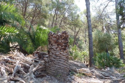 Ajuntament de Salou