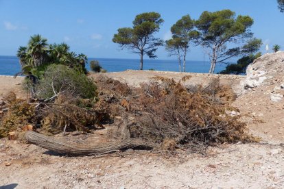 Ajuntament de Salou
