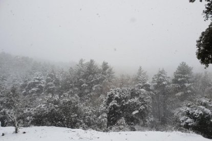 4x4 Muntanyes de Prades