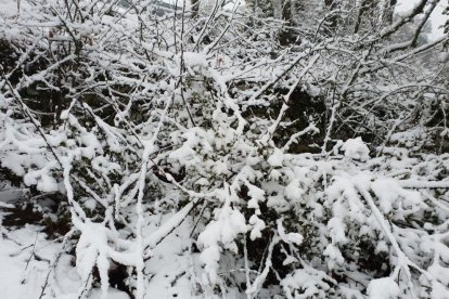 4x4 Muntanyes de Prades