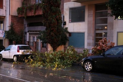 La forta tempesta de pluja i vent que aquest dimecres ha afectat al Camp de Tarragona ha deixat un rastre de desperfectes que moltes poblacions.