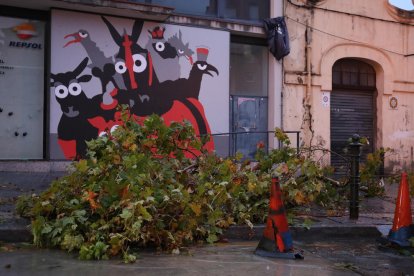 La forta tempesta de pluja i vent que aquest dimecres ha afectat al Camp de Tarragona ha deixat un rastre de desperfectes que moltes poblacions.
