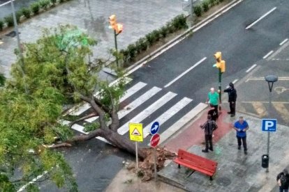 La forta tempesta de pluja i vent que aquest dimecres ha afectat al Camp de Tarragona ha deixat un rastre de desperfectes que moltes poblacions.